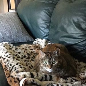 Meet your Posher, Robin